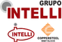 Grupo Intelli